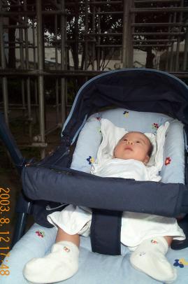 [babycar2]