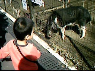 [video10]